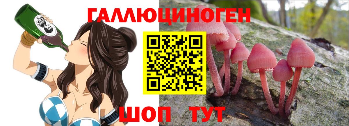 Муравленко  Псилоцибиновые грибы мицелий  наркота  Вход с VPN 